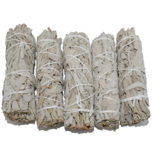 Charger l'image dans la galerie, Sauge à brûler